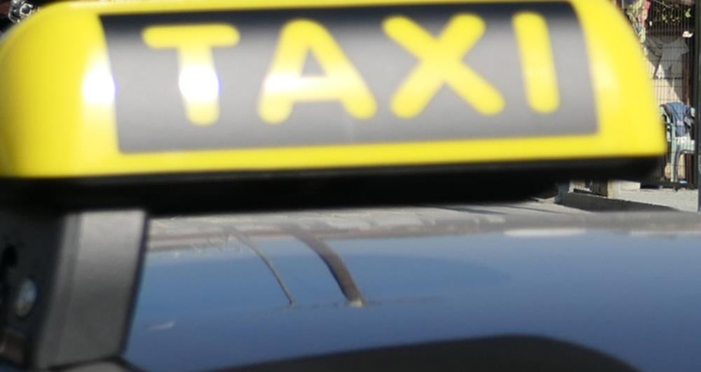 5381251830294066 cats