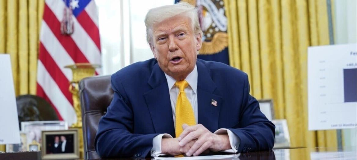 5381257572838883 cats