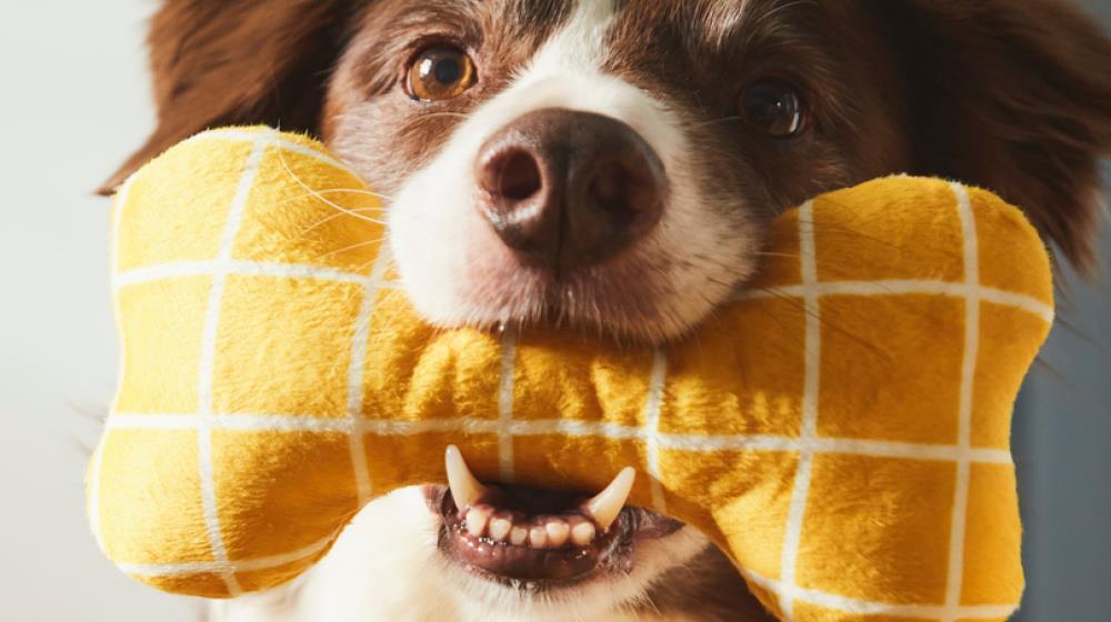 5381334571308960 COVER PHOTO