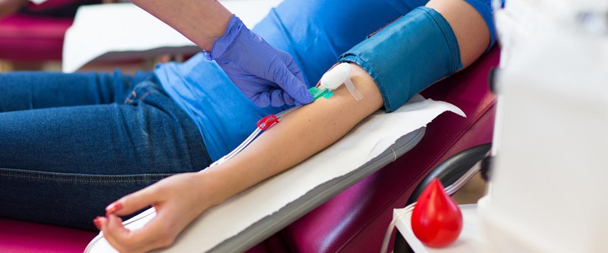 5381394338242566 image