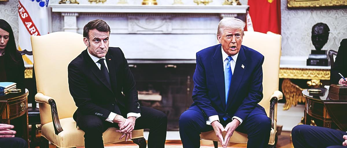 5381405174523121 cats