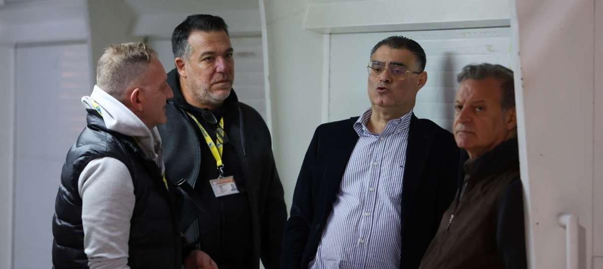 5381470696097079 cats