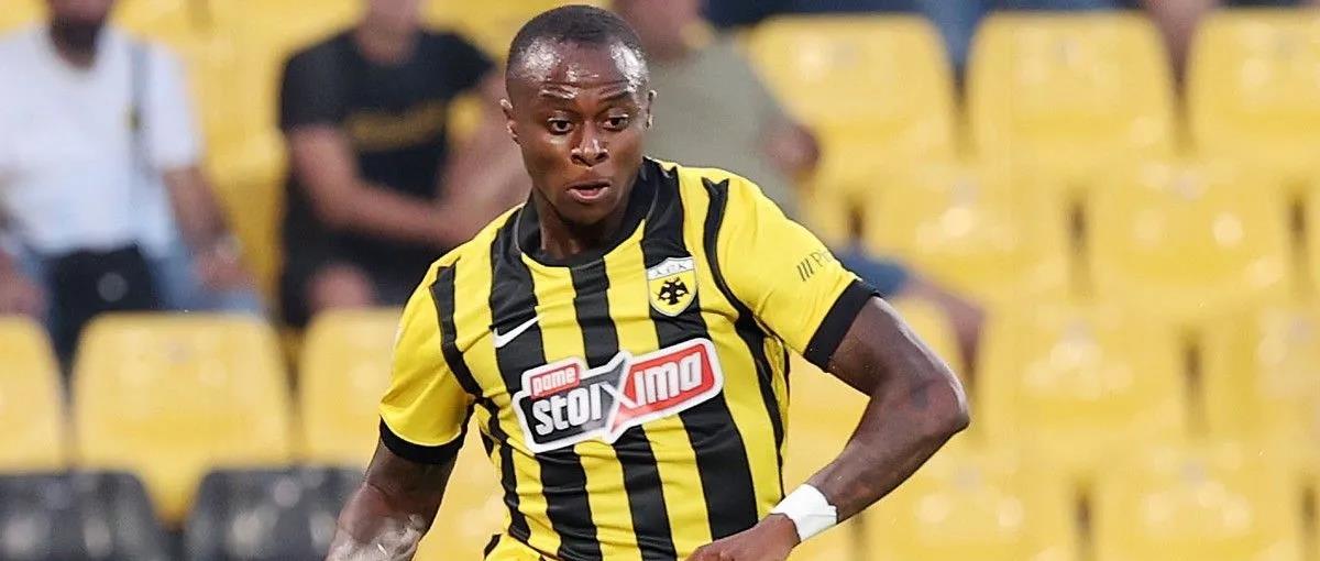 5381487886960896 cats