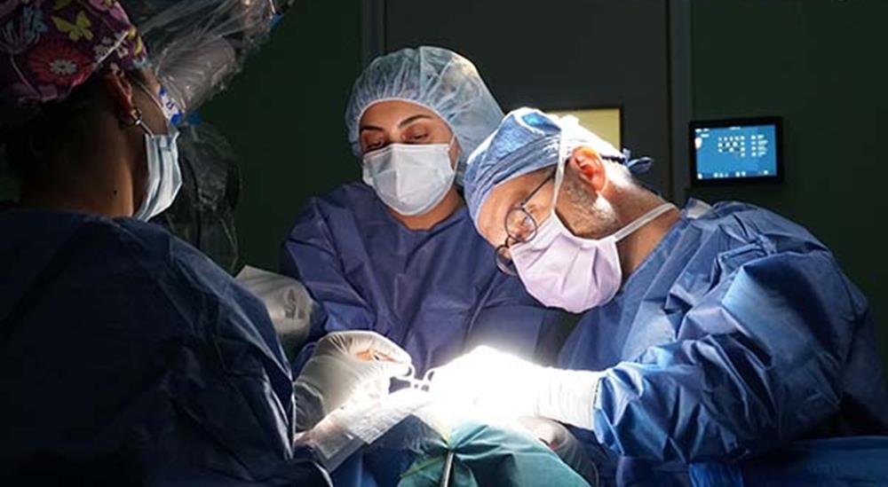 5381506068550677 cats