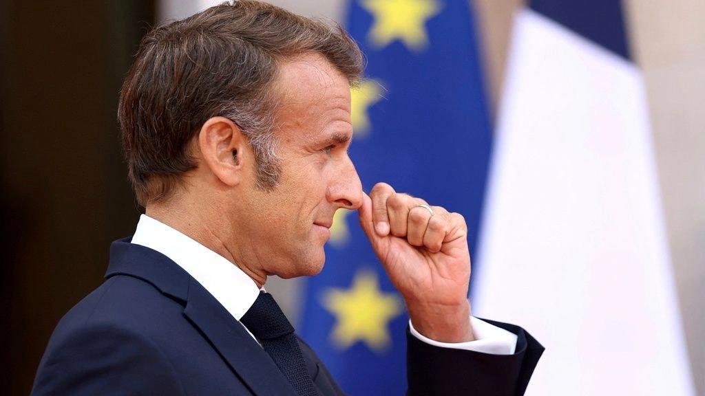 5381553873078559 image