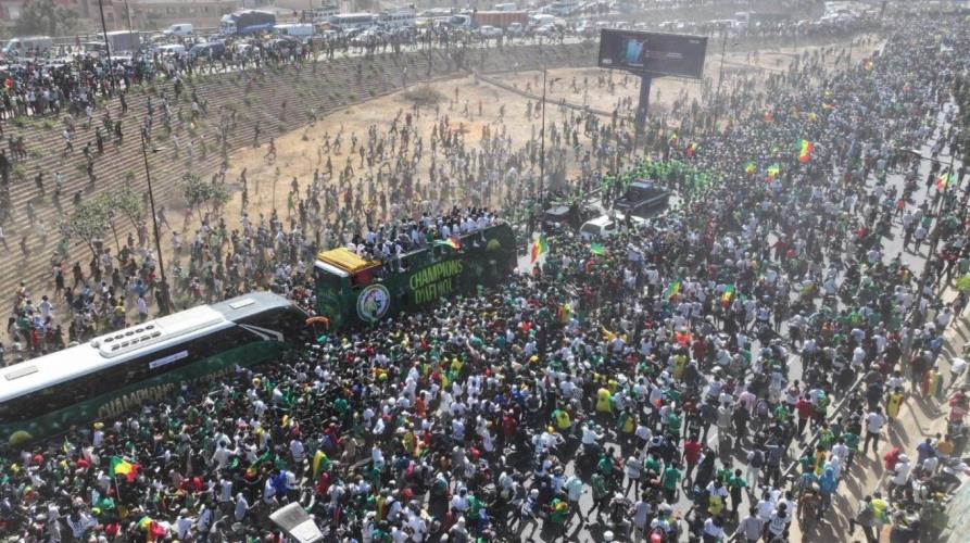 5381660520424135 image