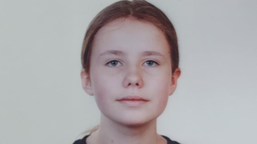 5381680540360017 image