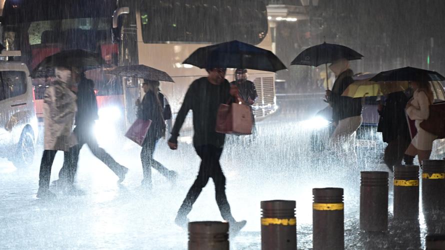 5381681875320969 image