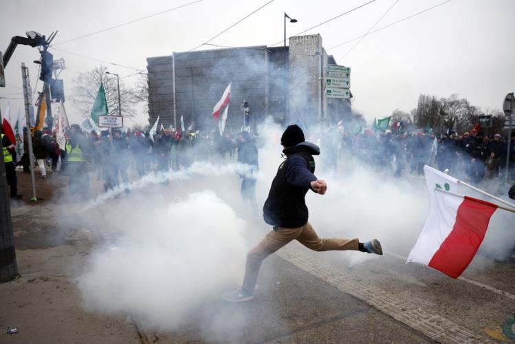 5381715525136486 image