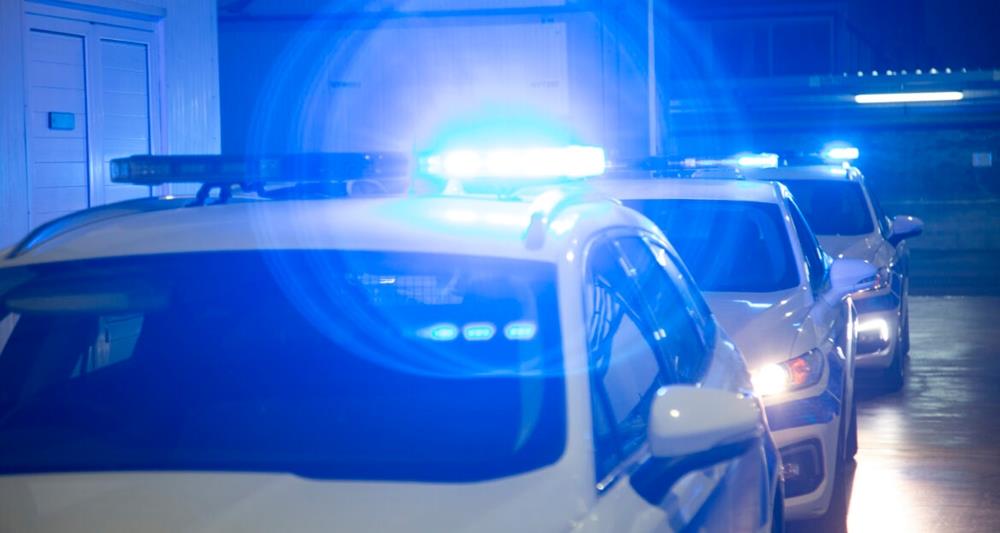 5382119457791566 cats