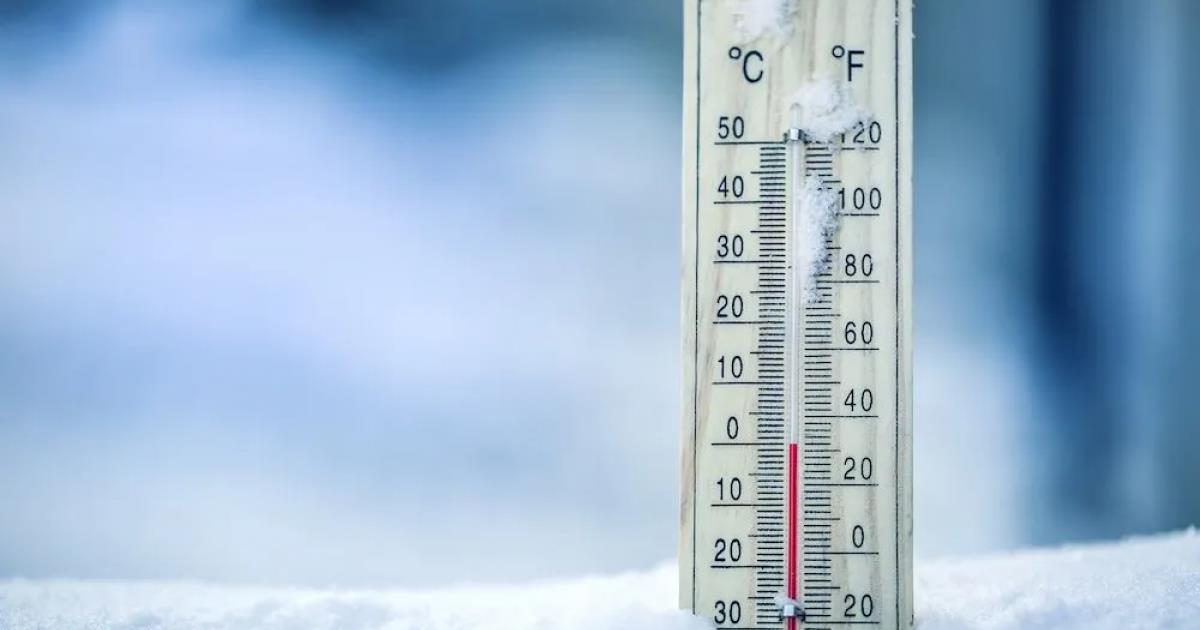 5382129465761237 image