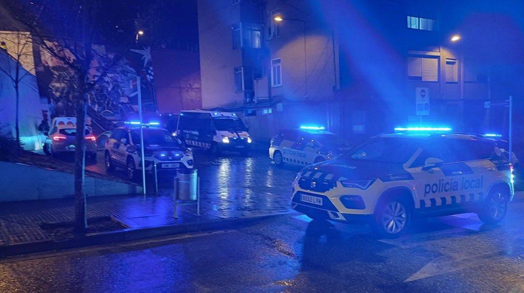 5382178471524591 image