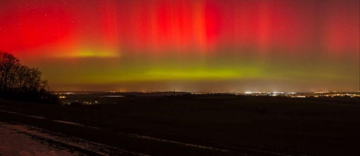 5382218142709991 cats