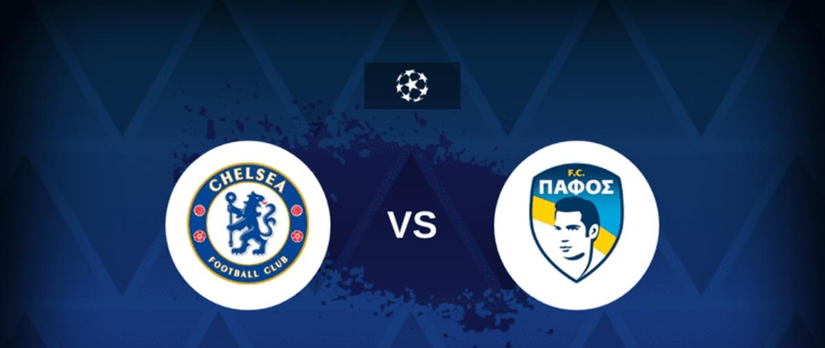 5382235376048309 cats