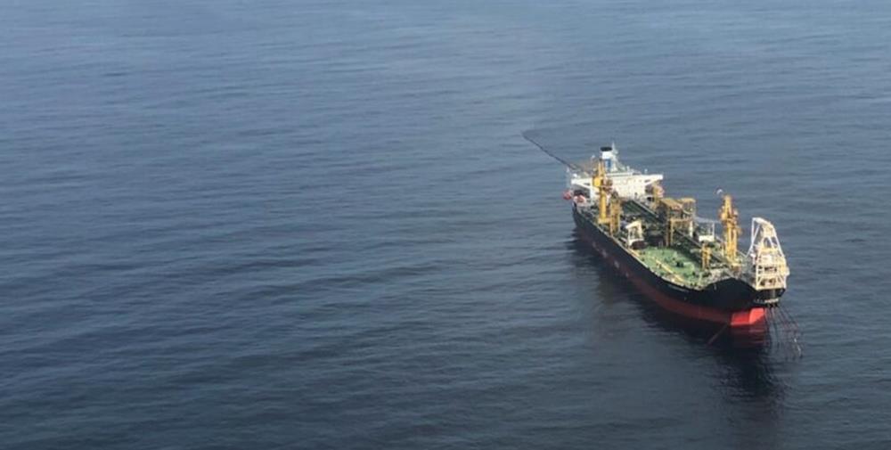 5382298060716720 cats