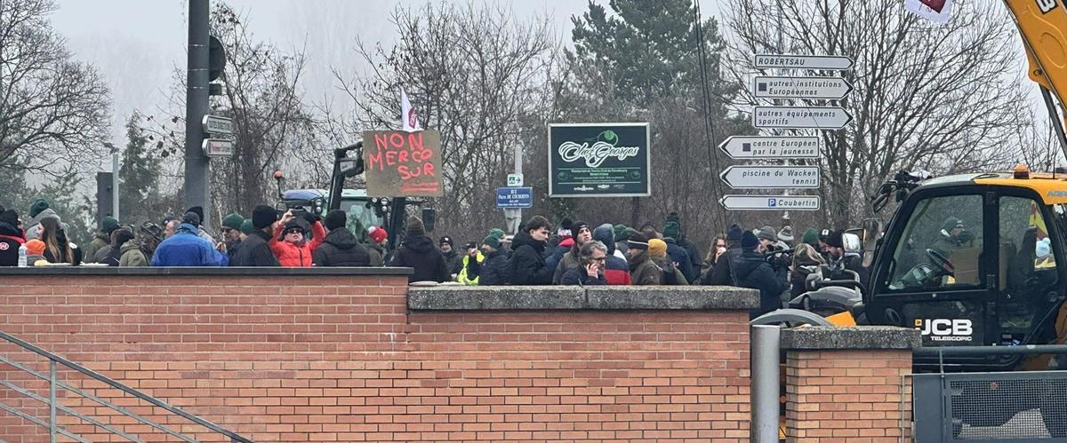 5382516151079992 618161625 3374796646014213 1921407872790107837 n