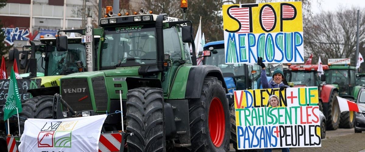 5382744185259800 cats