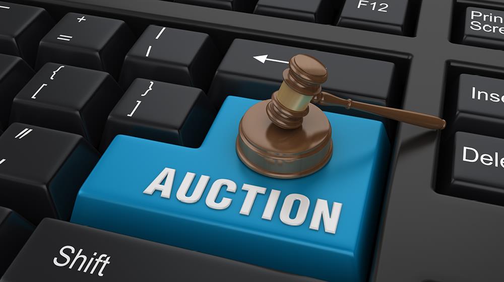 5383023200365910 enter auction