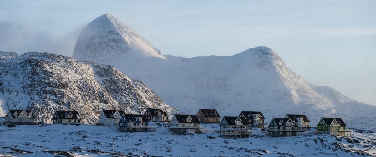 5383246570795521 cats