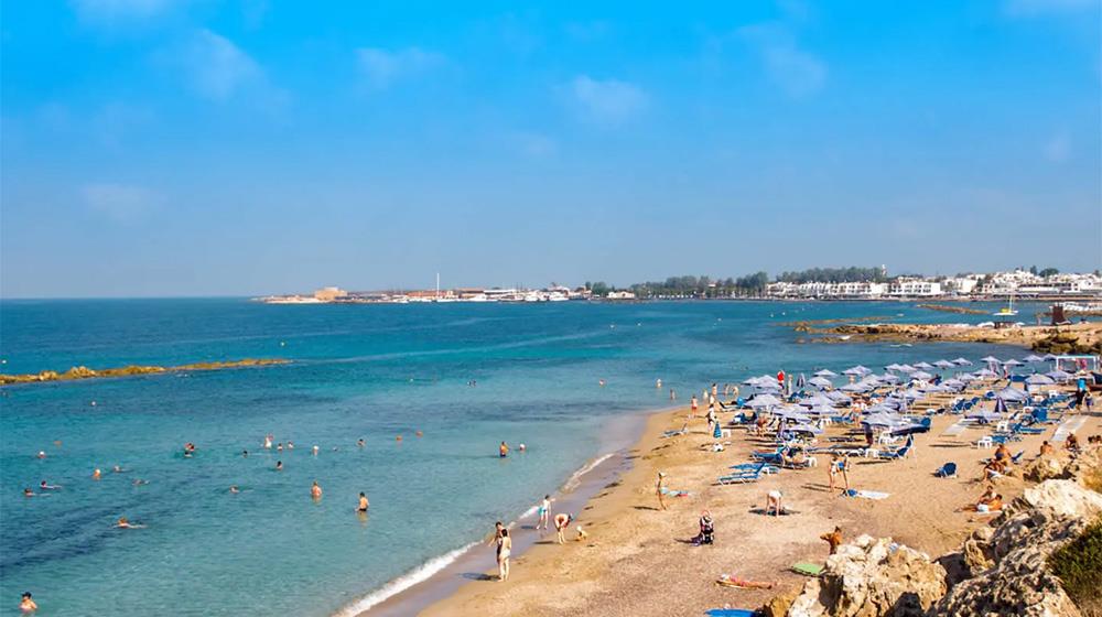 5383236916180654 sodap cover