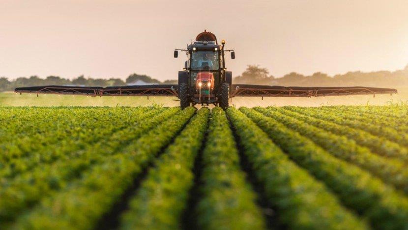 5383287868199000 image