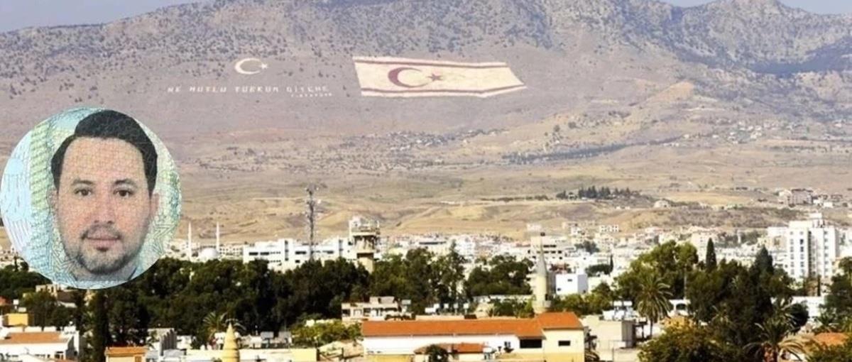 5383290385211015 cats