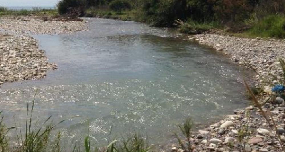 5383298274078634 cats