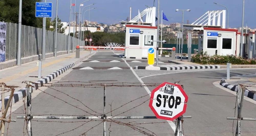 5383300897795391 cats