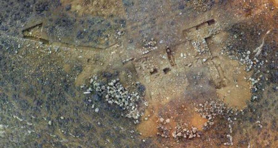 5383326714022959 cats