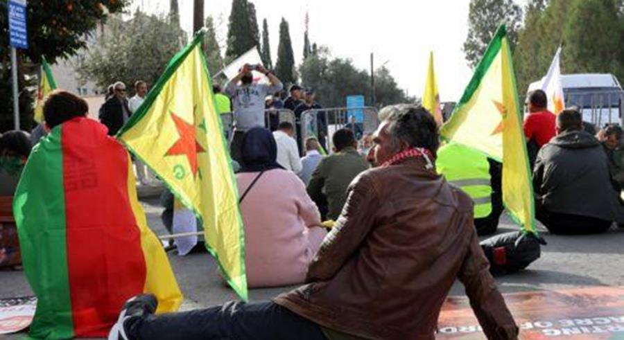 5383327590423585 cats