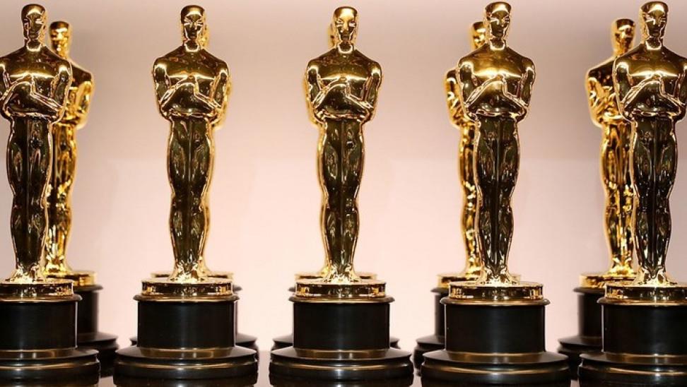 5383369402676927 image