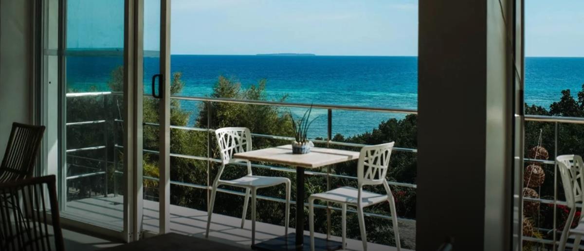 5383432503713884 cats