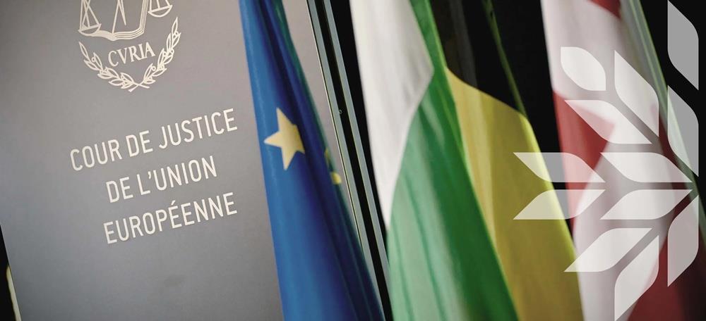 5383437936452260 cats