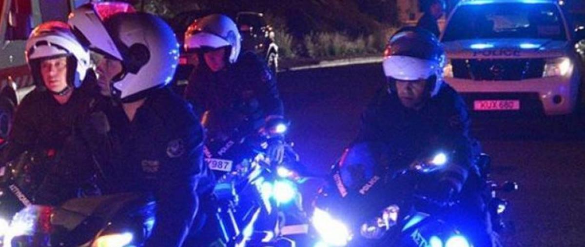 5383479782514551 cats