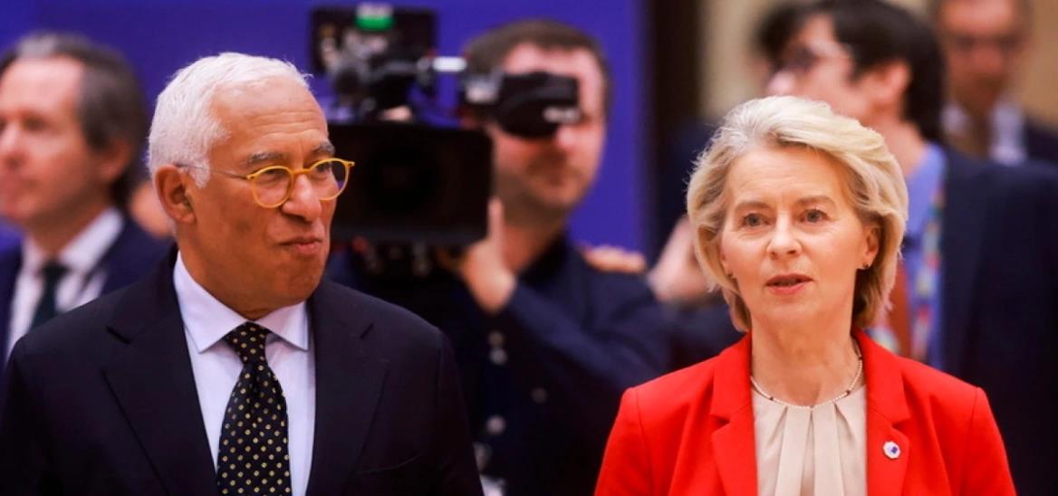 5383955798136340 cats