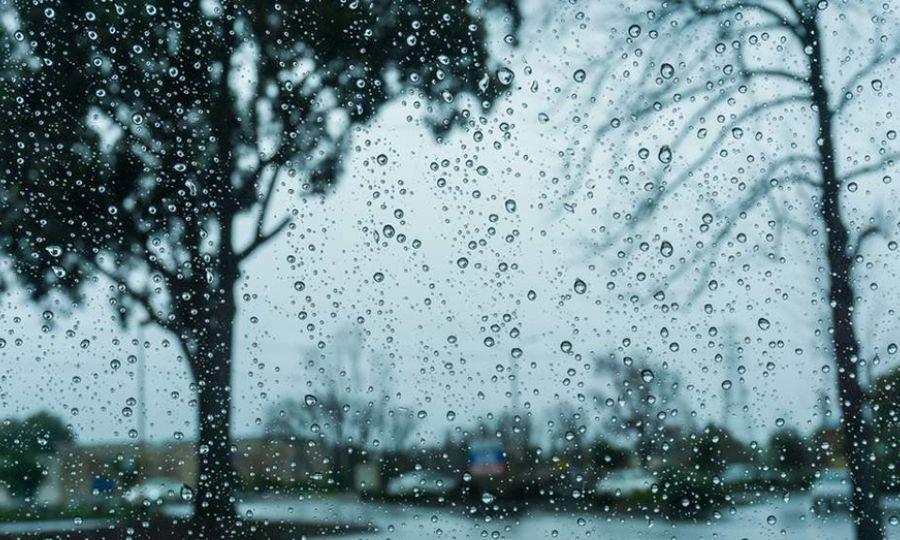 5383973185166943 image