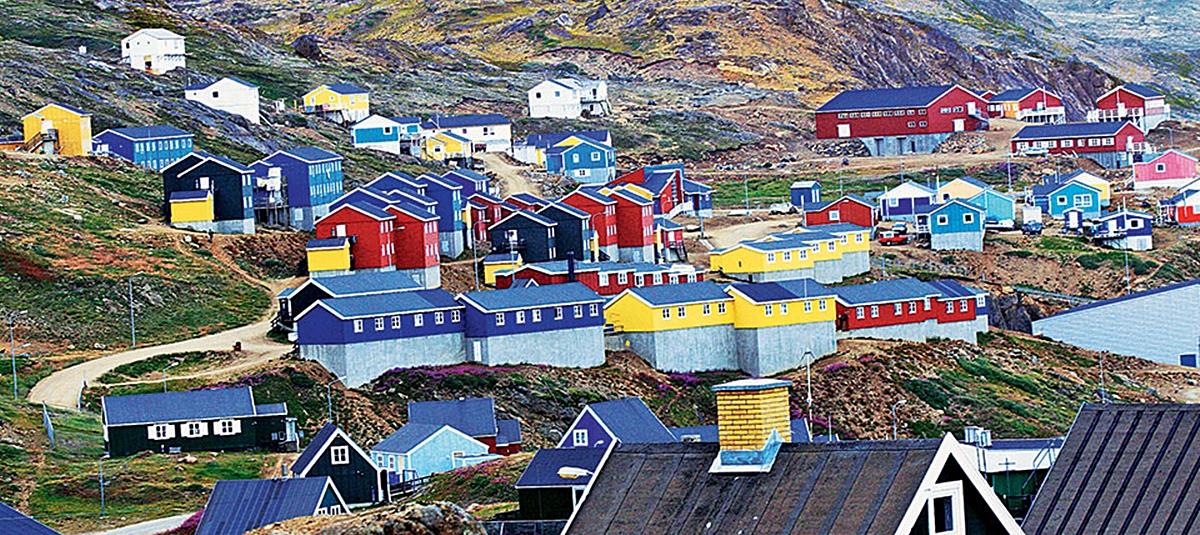 5383989363127721 cats