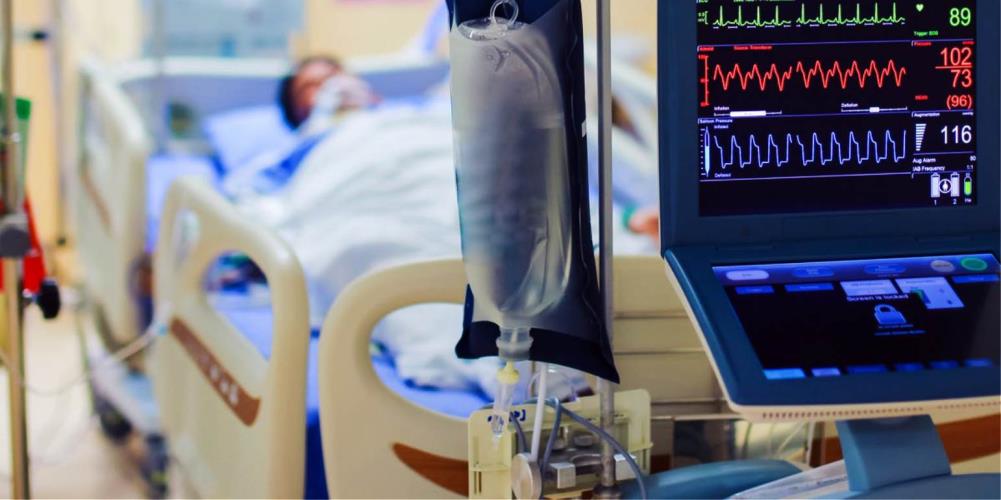 5384005729544161 image