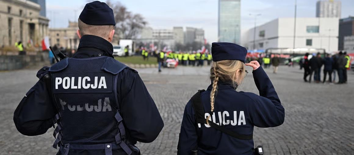 5384023178325713 cats