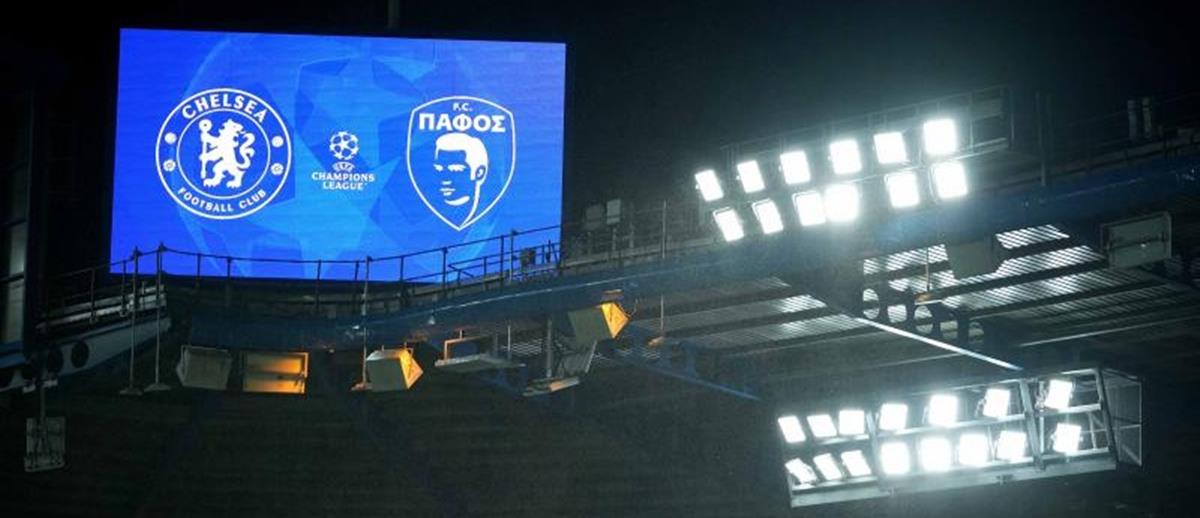 5384077475351797 cats