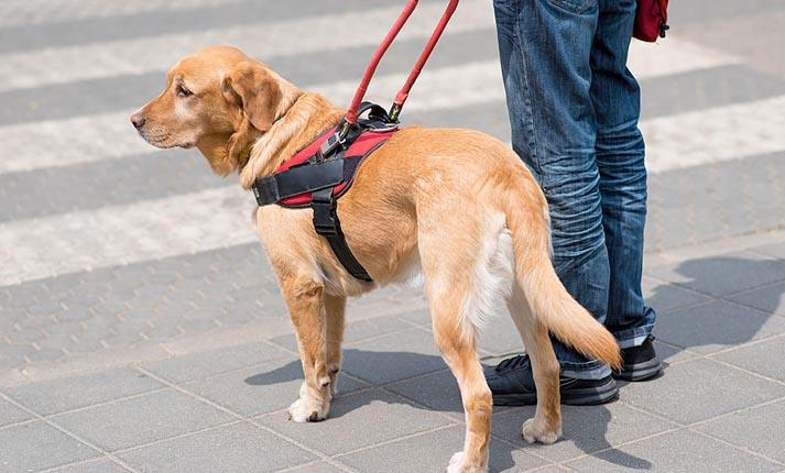 5384142158477547 image