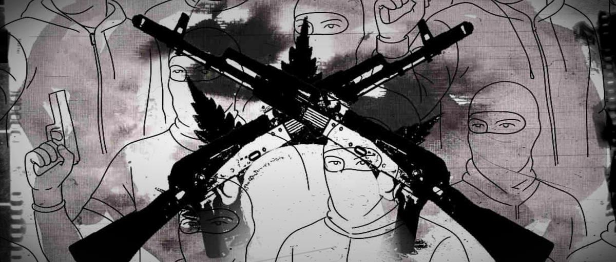 5384292830429046 cats