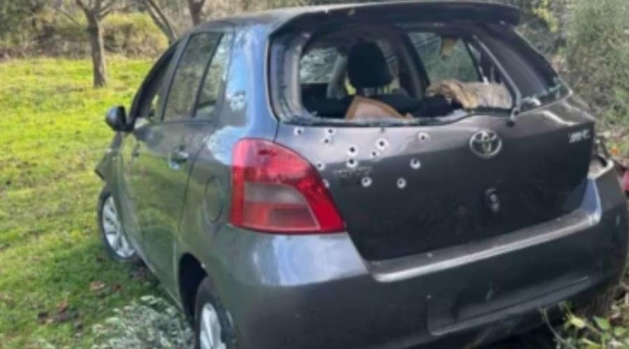 5384296019071721 photo 2026-01-23 18-36-01