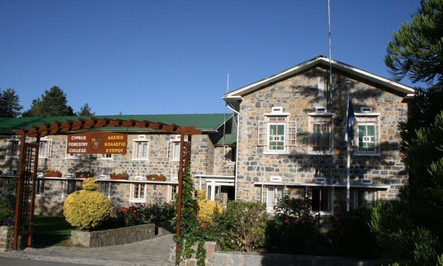 5384372808494500 image