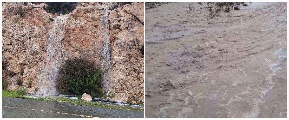 5384885280234351 collage