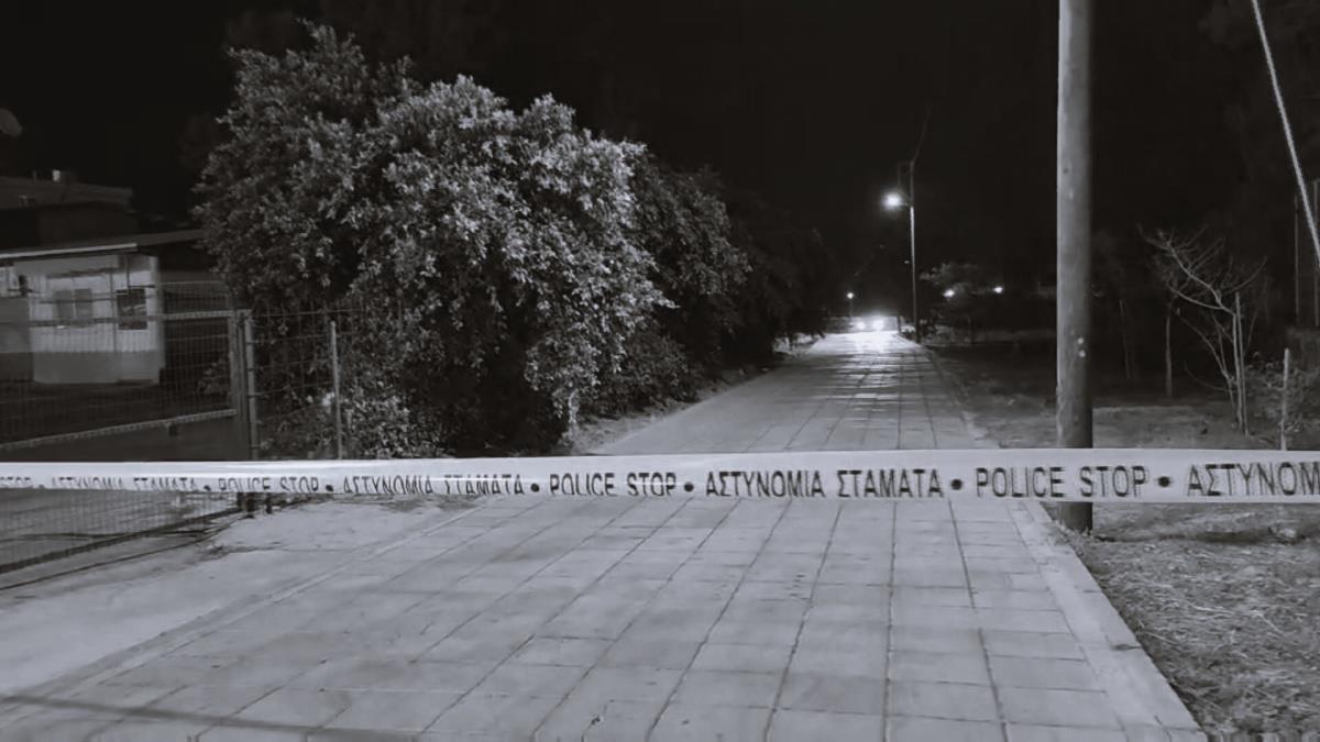 &Alpha;&upsilon;&tau;ό&sigmaf; &kappa;&alpha;&tau;&alpha;&zeta;&eta;&tau;&epsilon;ί&tau;&alpha;&iota; &gamma;&iota;&alpha; &tau;&eta;&nu; &alpha;&pi;ό&pi;&epsilon;&iota;&rho;&alpha; &phi;ό&nu;&omicron;&upsilon; &tau;&omicron;&upsilon; 31&chi;&rho;&omicron;&nu;&omicron;&upsilon; &sigma;&tau;&eta; &Lambda;ά&rho;&nu;&alpha;&kappa;&alpha;-Έ&rho;&epsilon;&upsilon;&nu;&epsilon;&sigmaf; &gamma;&iota;&alpha; &tau;&omicron;&nu; &epsilon;&nu;&tau;&omicron;&pi;&iota;&sigma;&mu;ό &tau;&omicron;&upsilon; (pic)