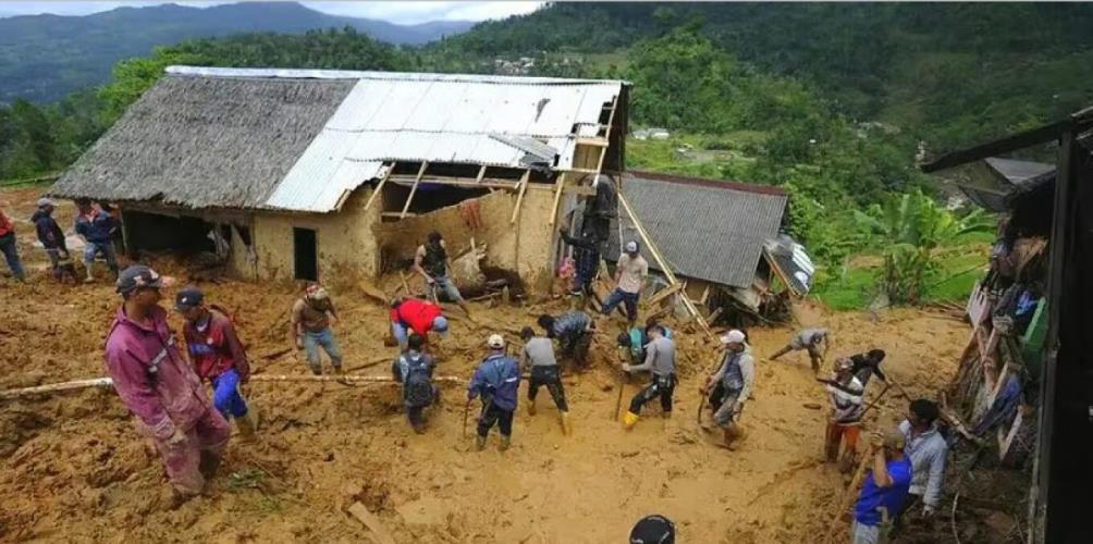 5385569636573021 image