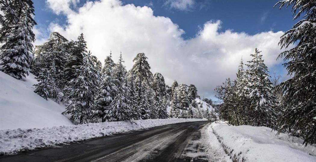 5385629345928509 image