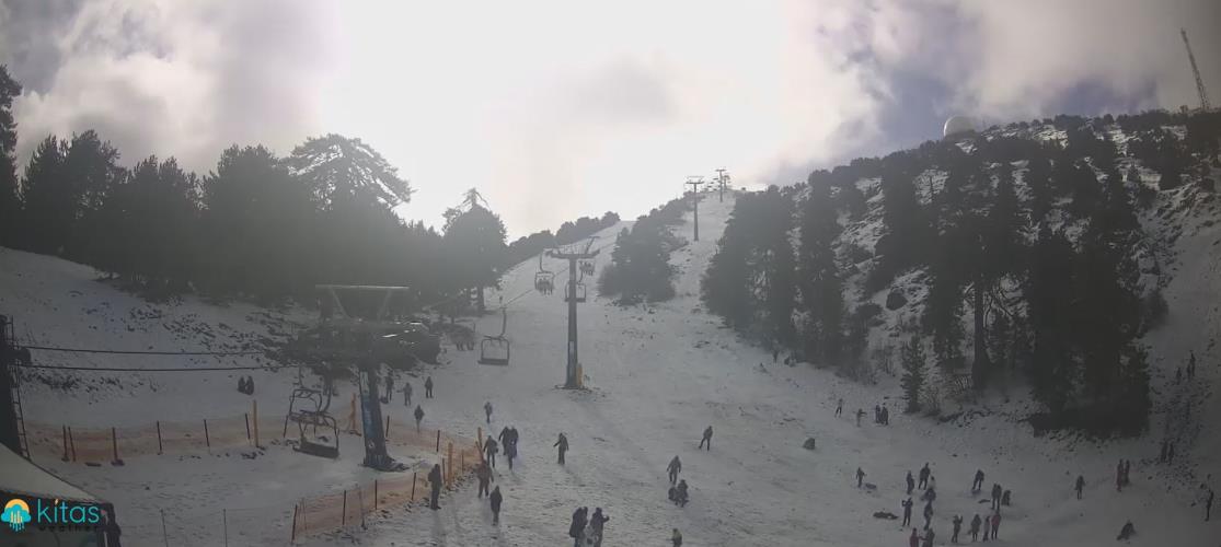 5385692900506950 Capture222