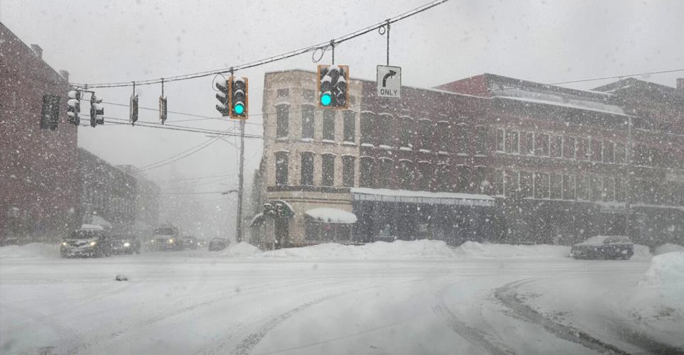 5385746169073411 image